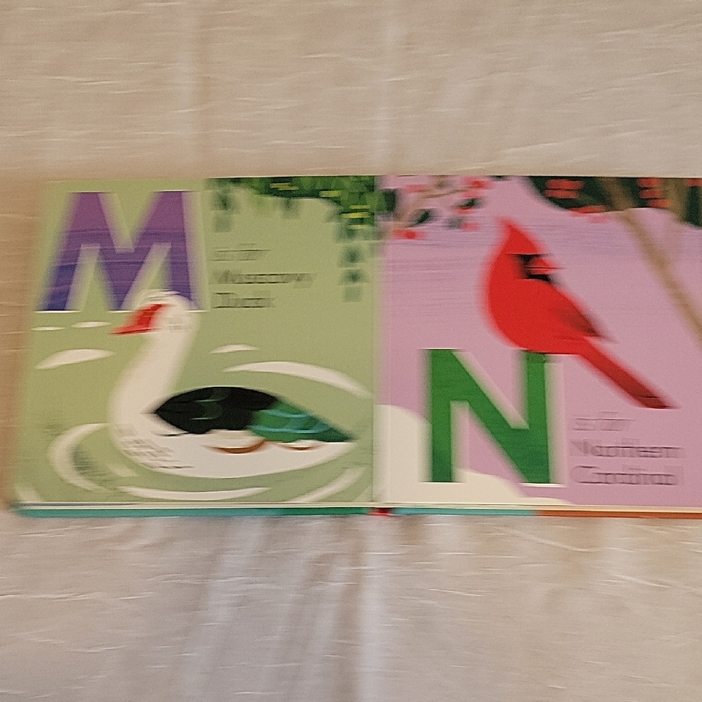 Kids book Animals from A to Z Book - Picture 10 of 16